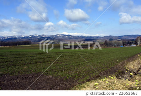 Scenery of Biei town in Hokkaido 22052663