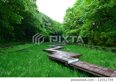 四季森林公園 22052794