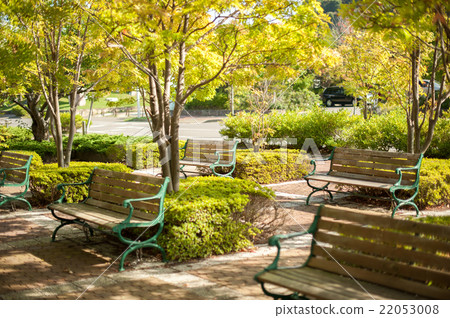 Bench 22053008