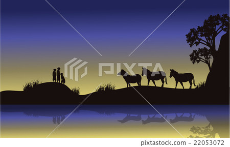 Zebra and meerkat at night scenery 22053072