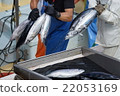 油炸鰹魚 22053169