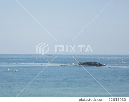 Glue fishing 22053980