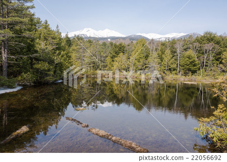 UshiTomechi 22056692