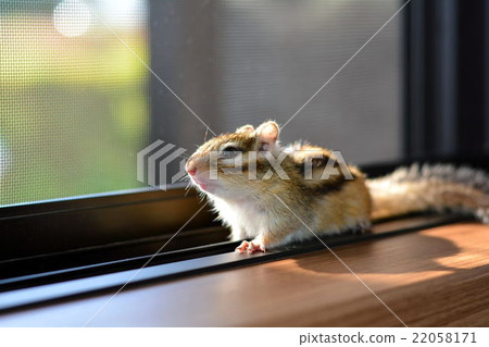 Do you want to go outside? Do you want to go outside? 22058171