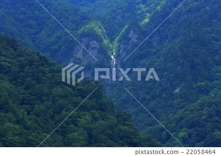 Otaki of Shikoku Otaki of Shikoku 22058464