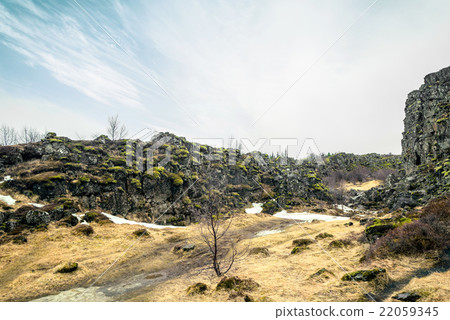 Iceland nature in an amazing scenery 22059345
