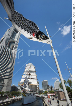 帆船Nihon Maru的總帆展帆船·全船裝飾和鯉魚旗在藍天游泳 22060044