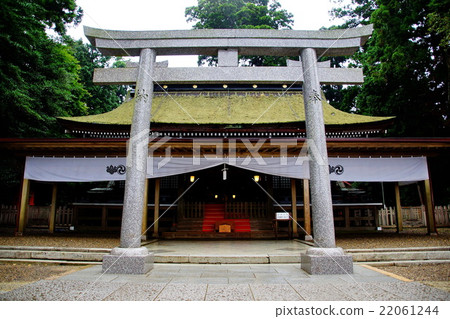 多哥Shika鹿島神宮廣場(Hitoshi Kanomiya)茨城縣鹿島市皇宮 多哥Shika鹿島神宮廣場(Hitoshi Kanomiya)茨城縣鹿島市皇宮 22061244