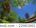 東京淺草寺 22061662