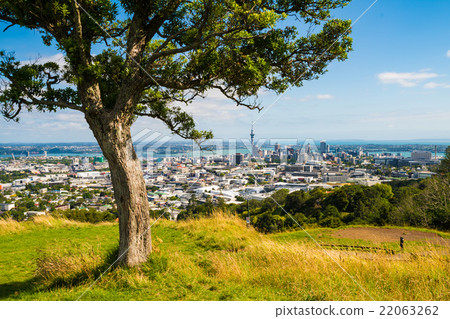 Auckland Panorama 22063262