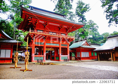 多哥Shika鹿島神宮內花和里面射擊（Hitoshi Kageya）茨城鹿島市皇宮 22063711