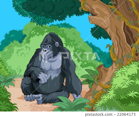 Sitting Gorilla 22064173