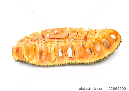 Jack fruit isolated on white background 22064300
