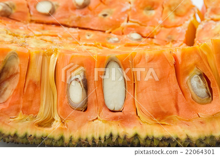 Closeup jack fruit background and texture 22064301