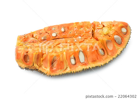 Jack fruit isolated on white background 22064302