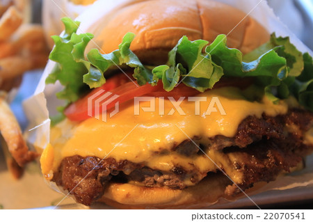 cheeseburger cheeseburger 22070541