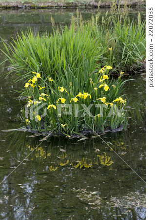 Kishoub Kishoub 22072038