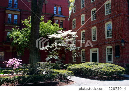 Harvard Square, Cambridge.. Harvard Square, Cambridge.. 22073044