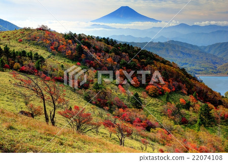 Fuji seen from the ridgeline of the Lord Bodhisatz Tower of autumn leaves Fuji seen from the ridgeline of the Lord Bodhisatz Tower of autumn leaves 22074108