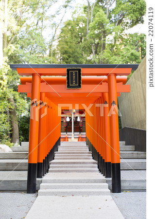 One Ikuta Inari Omijinu in the premises of Ikuta Shrine in Hyogo ken Chuo Ward 22074119