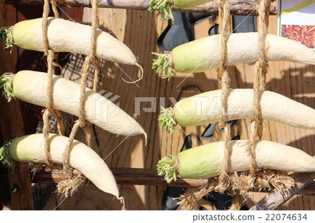 Japanese radish Japanese radish 22074634