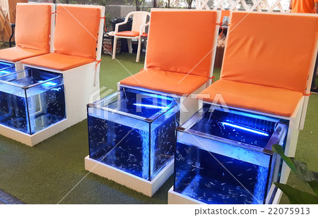 Doctor fish, fish treatment 22075913