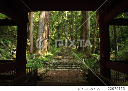 進入Hodaiji寺 22076153