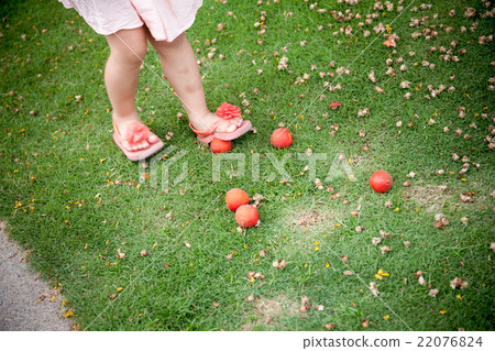 Tree nuts Tree nuts 22076824