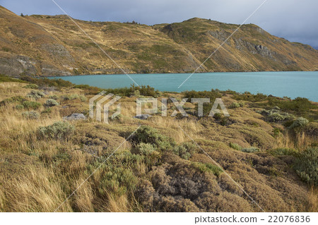 Rio Paine in Torres del Paine National Park 22076836