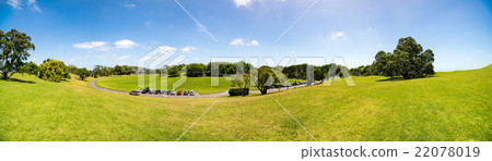 Field 22078019