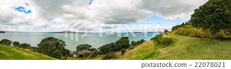 new  zealand 22078021