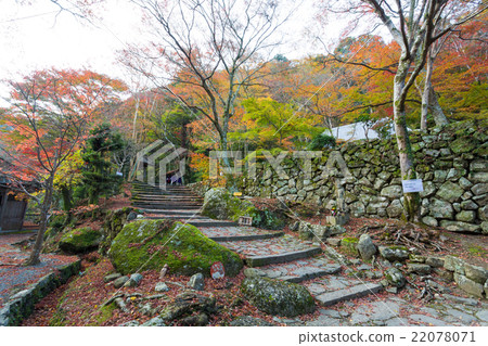 前田寺秋葉 前田寺秋葉 22078071