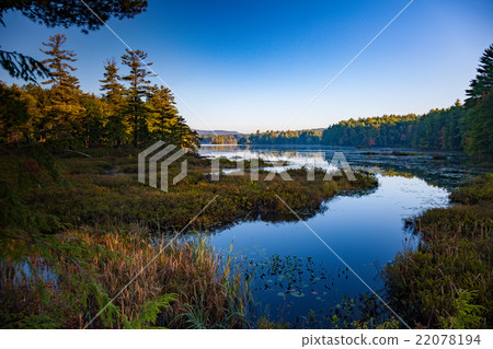 Lake in the Forest New Hampshire USA 22078194