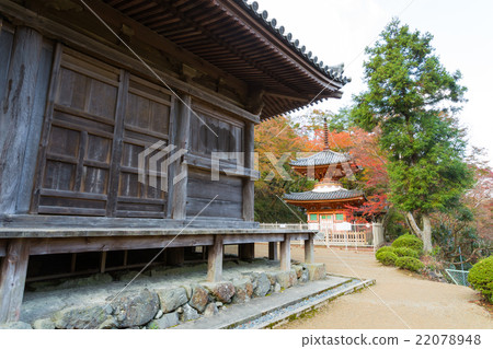 毛寺 毛寺 22078948