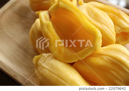jack fruit 22079642