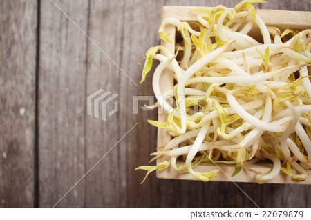 Bean sprouts 22079879