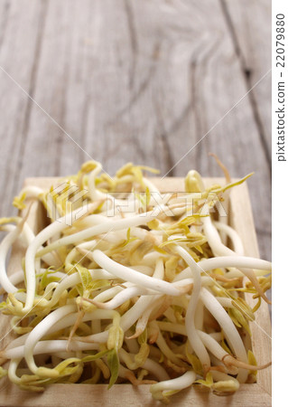 Bean sprouts 22079880