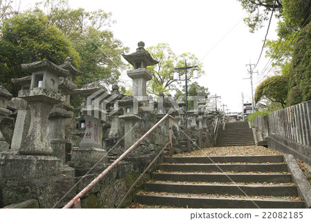 Honjyoji的燈籠(熊本市) Honjyoji的燈籠(熊本市) 22082185