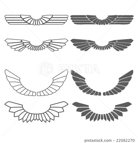 Set of wings isolated on white Set of wings isolated on white 22082270