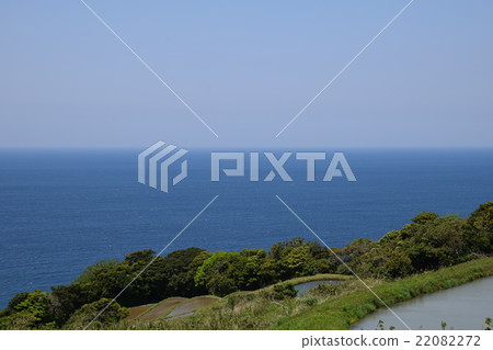 水稻梯田和海 水稻梯田和海 22082272