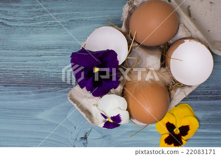 Easter eggs and pansies over blue wooden table Easter eggs and pansies over blue wooden table 22083171