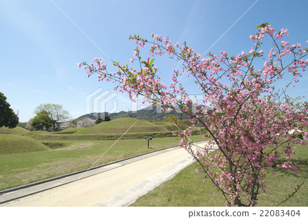 Tsukahara Kofun and Momoka (Kumamoto Prefecture) 22083404