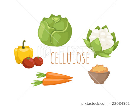 Vegetables food cellulose vector set. Vegetables food cellulose vector set. 22084561