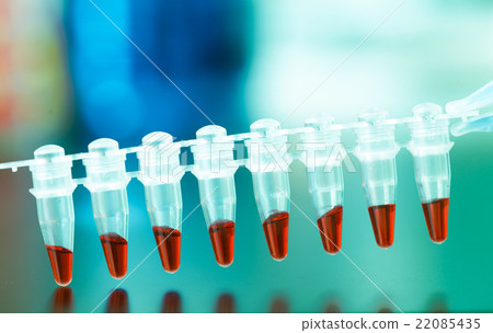 pcr analysis dna profiling 22085435