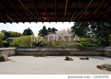 [National Historic Site/Special Scenic Spot] Ryoanji Temple Rock Garden (Hojo Garden) 22085858