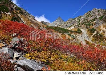 Fall of Northern Alps Lizanzawa 22086084