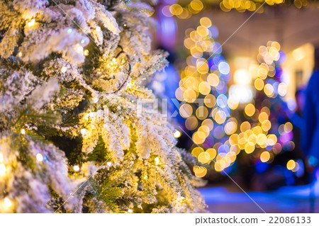 Closeup of Christmas tree at night Closeup of Christmas tree at night 22086133