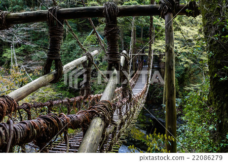 Iya valley Kazura Bridge 22086279