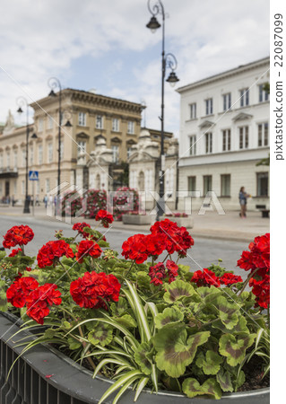 Holy Cross Church in Warsaw in Poland 22087099
