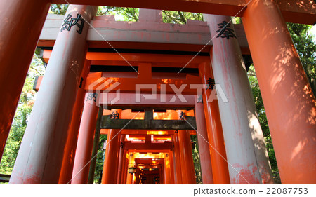 伏見稻荷大社神社鳥居 伏見稻荷大社神社鳥居 22087753